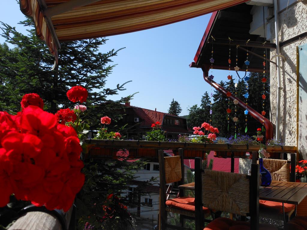 Bistro-Pension La Teleferic Sinaia Eksteriør bilde