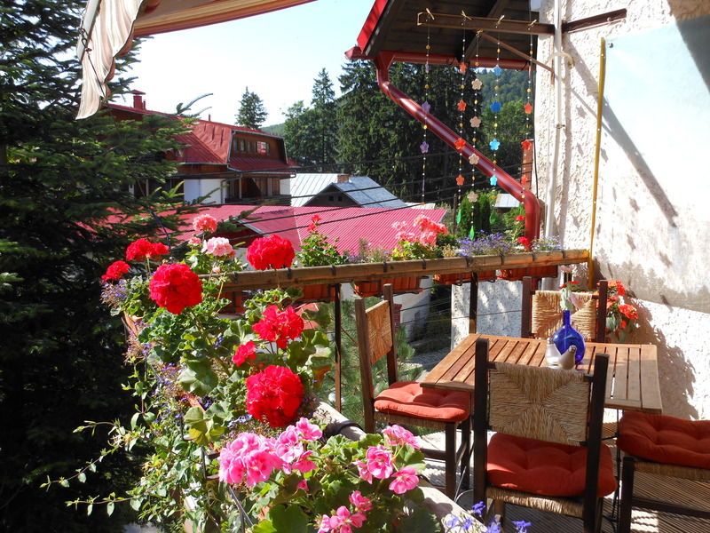 Bistro-Pension La Teleferic Sinaia Eksteriør bilde