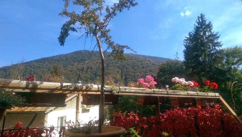 Bistro-Pension La Teleferic Sinaia Eksteriør bilde