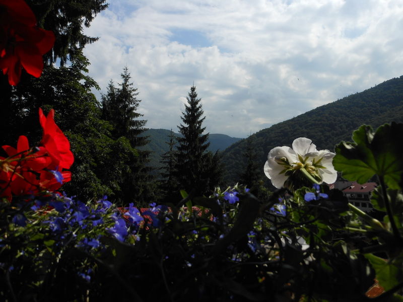 Bistro-Pension La Teleferic Sinaia Eksteriør bilde